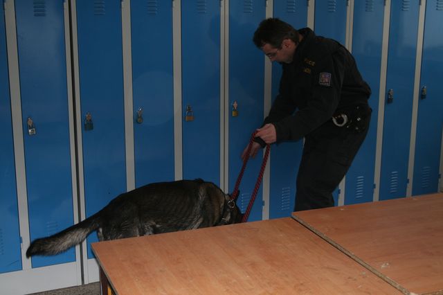 Psi a drogy 6.jpg