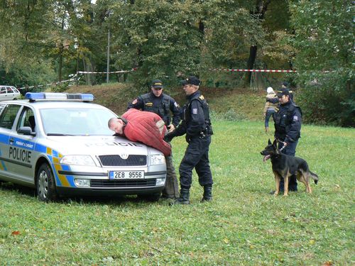 Psí život 17.10.2009 - 01 (11)