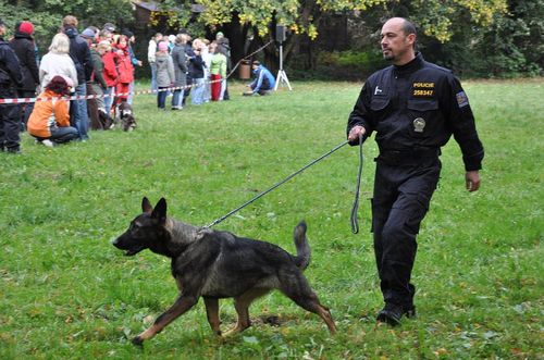 Psí život 17.10.2009 - 01 (14)