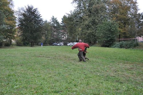 Psí život 17.10.2009 - 01 (16)