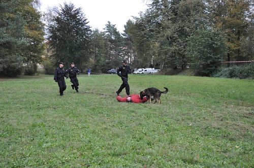 Psí život 17.10.2009 - 01 (17)