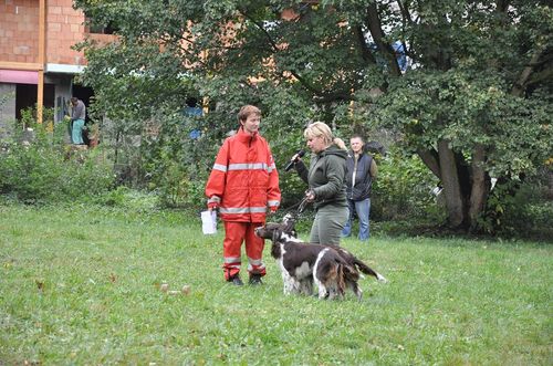Psí život 17.10.2009 - 01 (18)