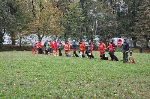 Psí život 17.10.2009 - 01 (20)
