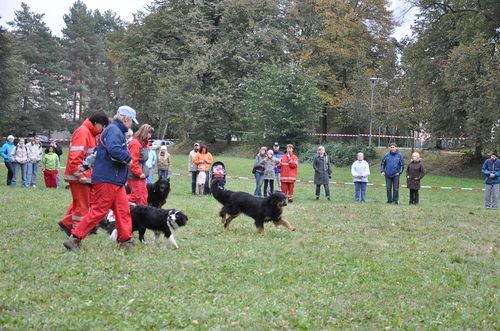 Psí život 17.10.2009 - 01 (22)