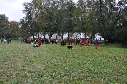 Psí život 17.10.2009 - 01 (23)