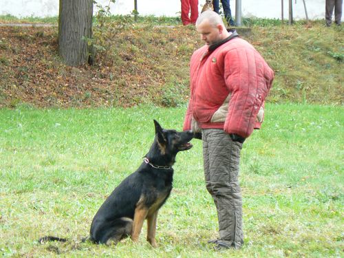 Psí život 17.10.2009 - 01 (5)