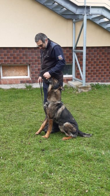 Psovodi v ZŠ a MŠ Dražice (4).jpg