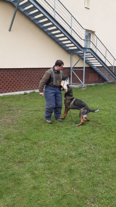 Psovodi v ZŠ a MŠ Dražice (5).jpg
