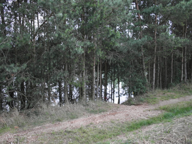 Puchlovický písník