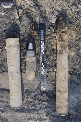 Pyrotechnická služba 2012