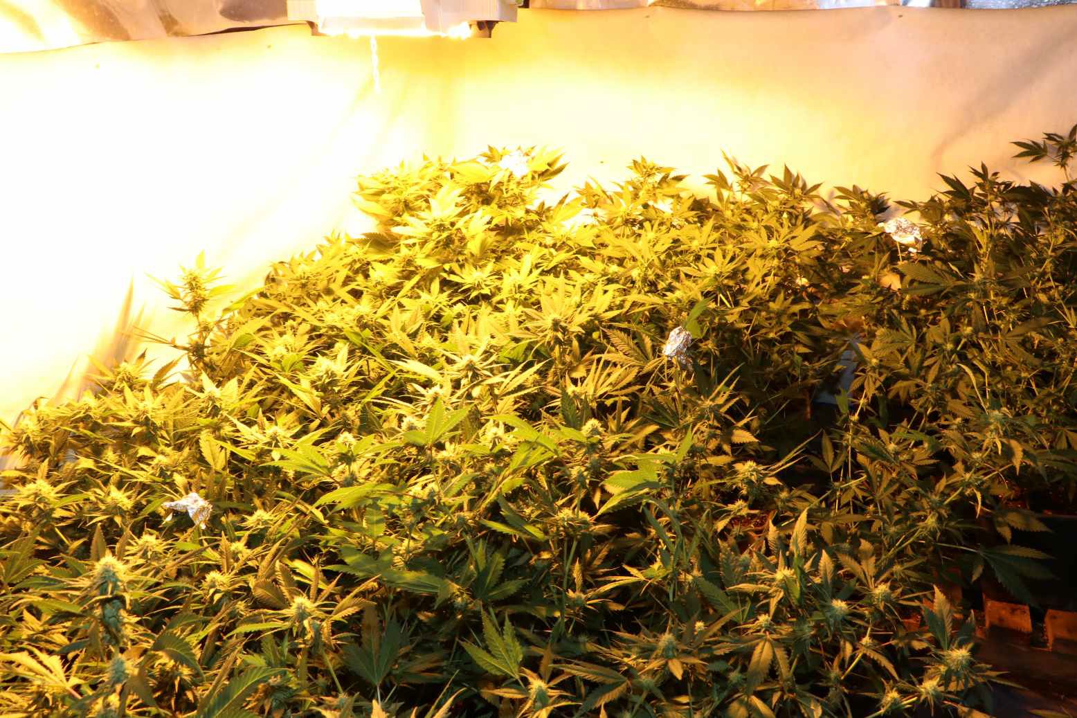 Realizace TOXI týmu