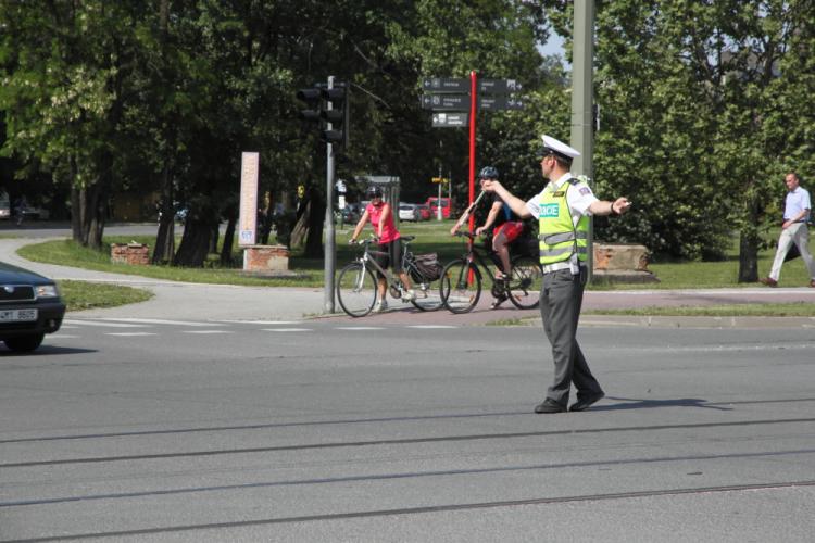 Regulovčík 2012
