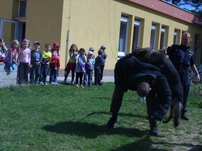 Rozloučení se školou