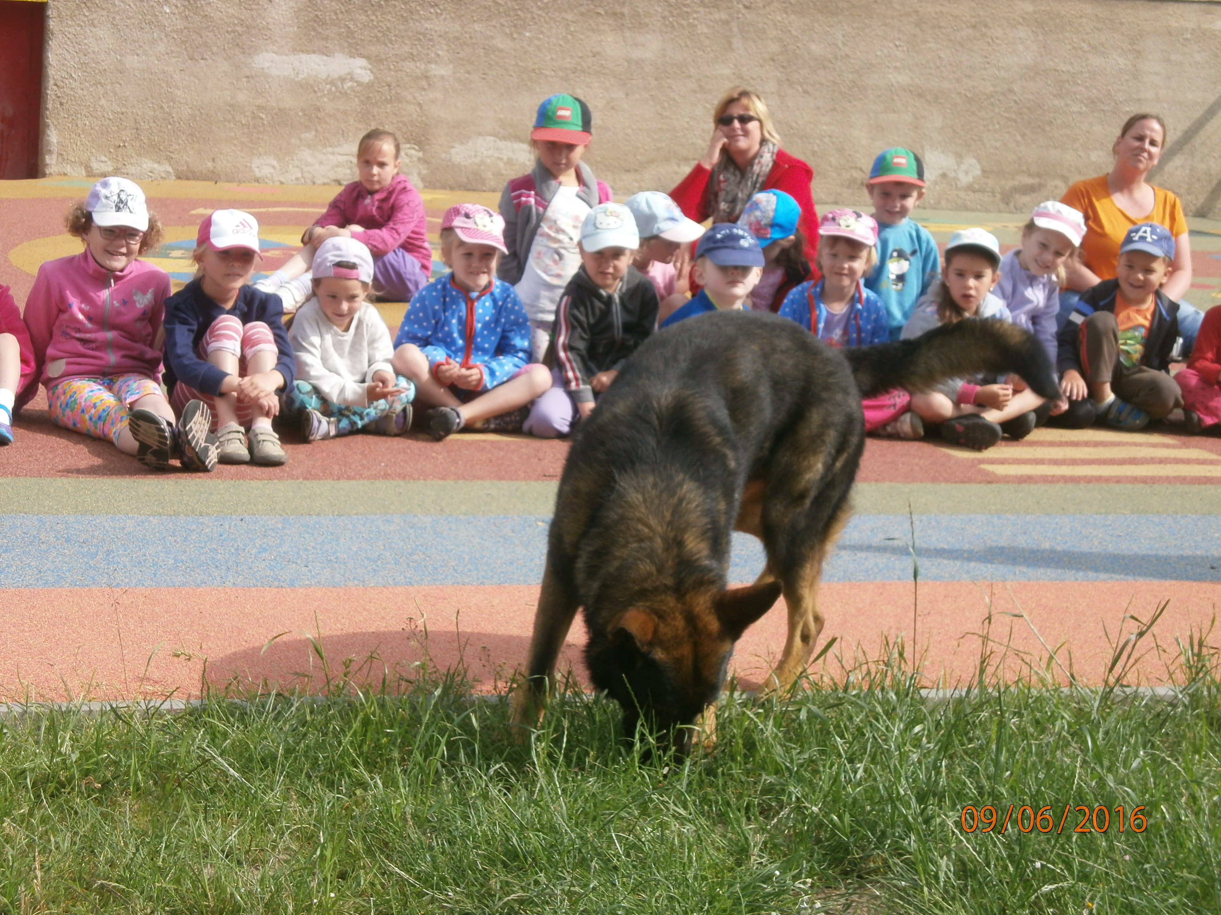 Rozloučení se školou
