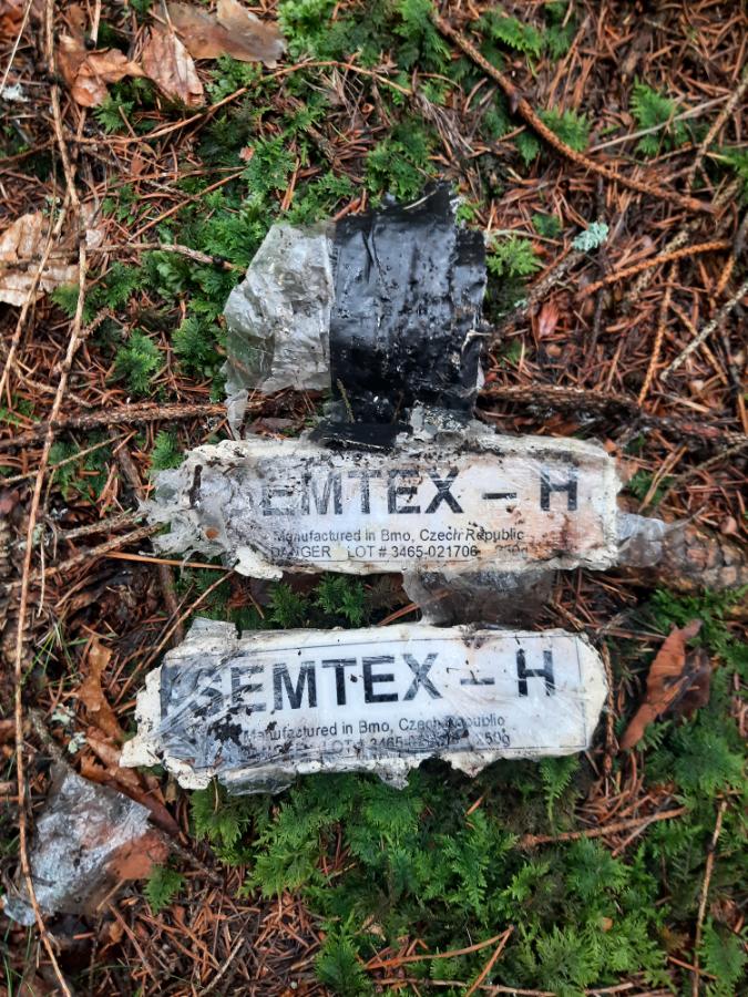 Semtex atrapa.jpg