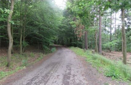 Situační pohled místa události č. 2