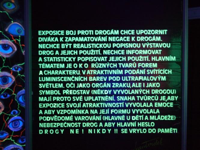 Slavnostní zahájení projektu Správným směrem v Praze (12).JPG
