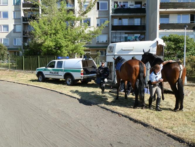 Sluníčkový den 11