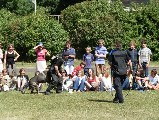 Sluníčkový den 20