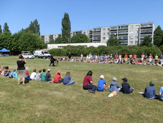 Sluníčkový den 21