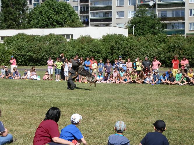 Sluníčkový den 24