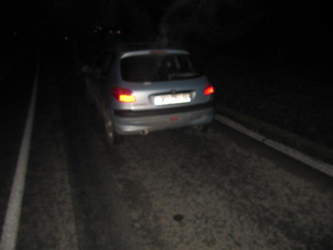 Smrt. DN Krasejovka 22.3.2015 III.