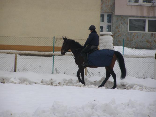 Snímek 04