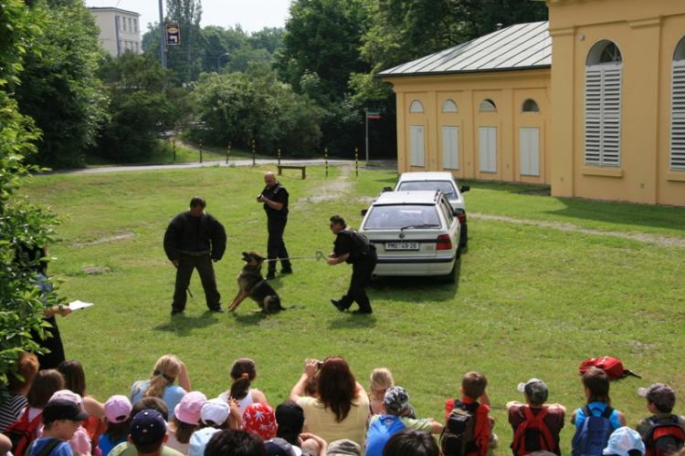 Snímek 085.jpg