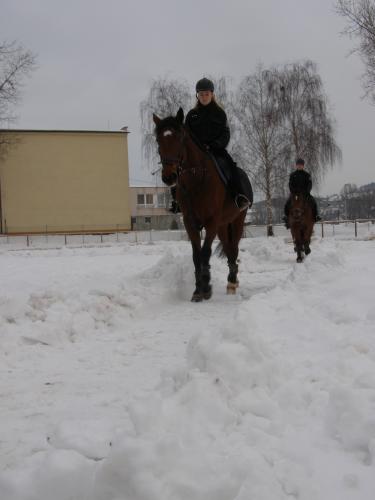 Snímek 11