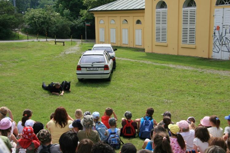 Snímek 136.jpg