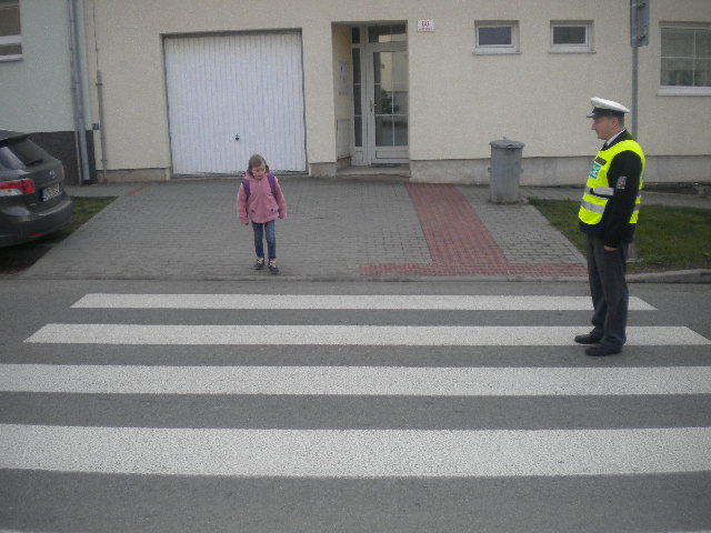 Snímek 137.jpg