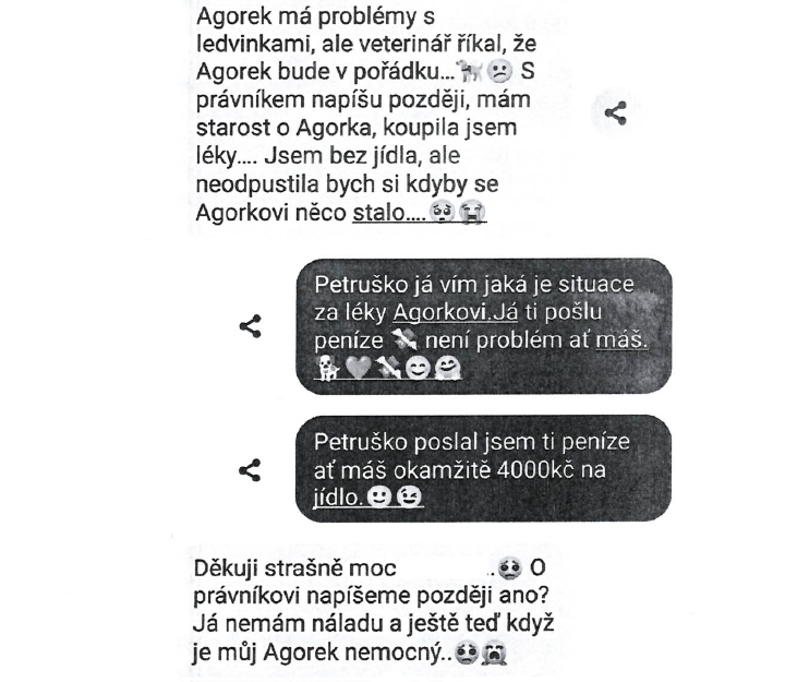 Snímek 2.png