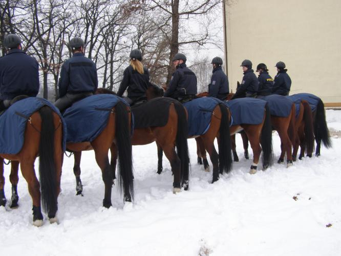 Snímek 41