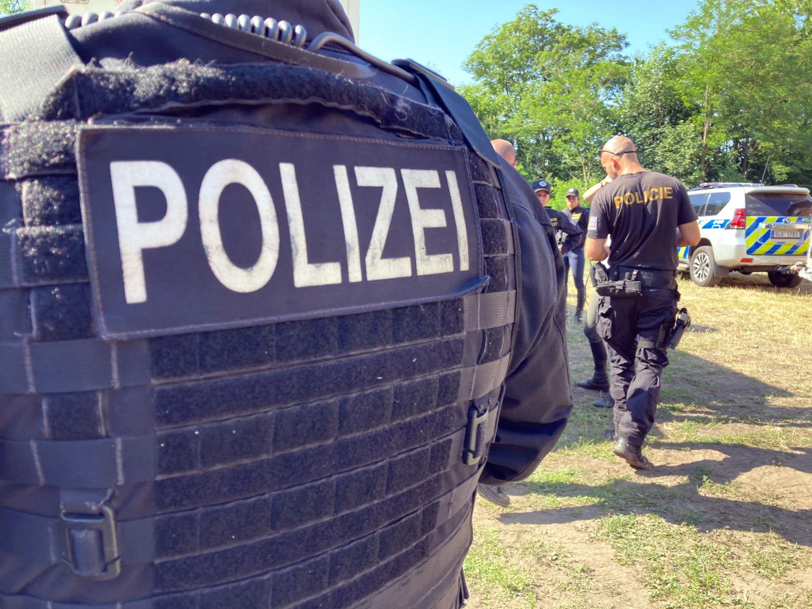 Společné cvičení PJ