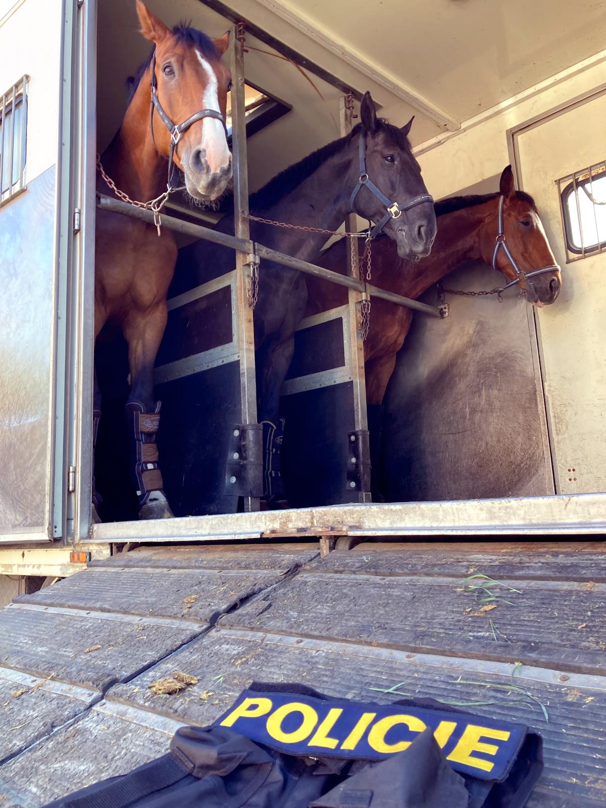 Společné cvičení PJ