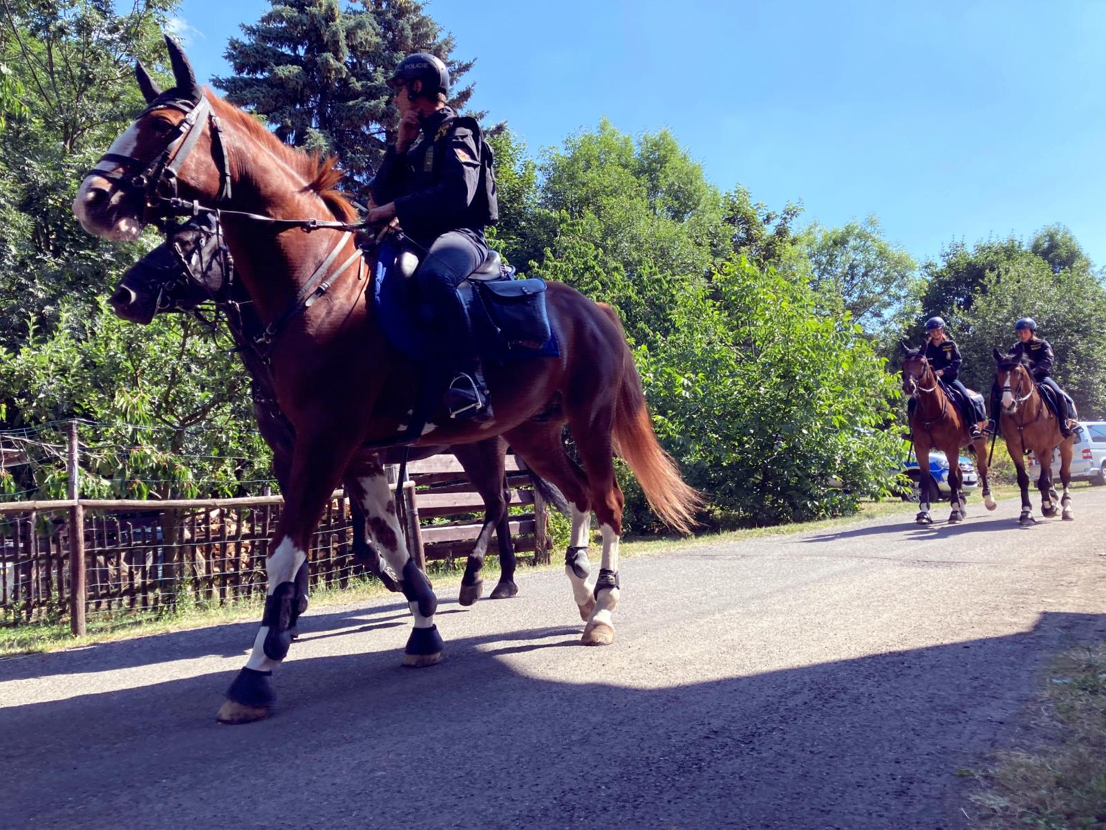 Společné cvičení PJ