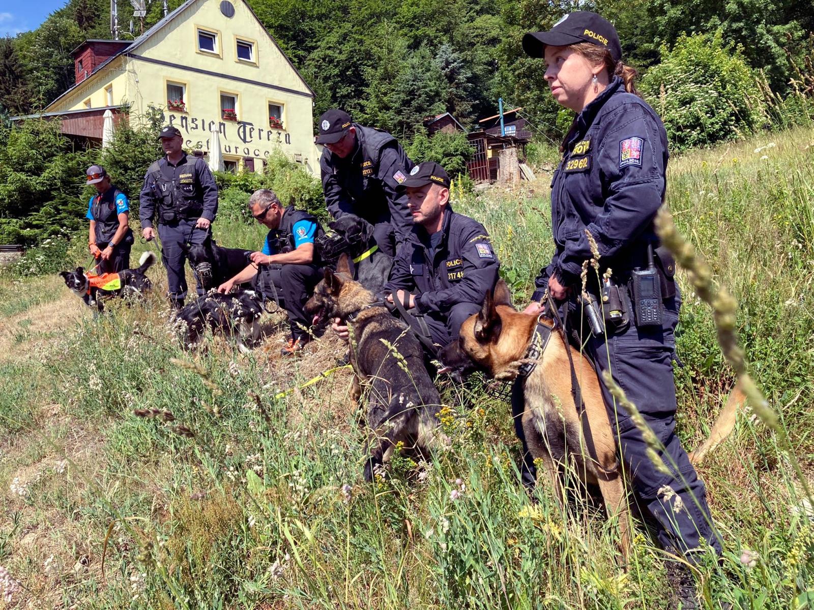 Společné cvičení PJ