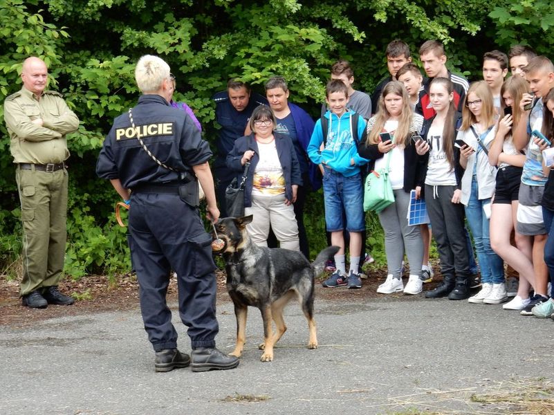 Společné pracoviště Náchod 2016