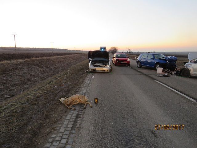 Starovičky.JPG