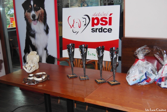Statečné psí srdce 2 n.bmp