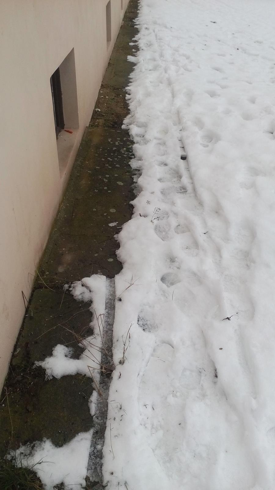 Stopy ve sněhu.jpg