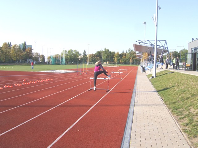 Street 2013
