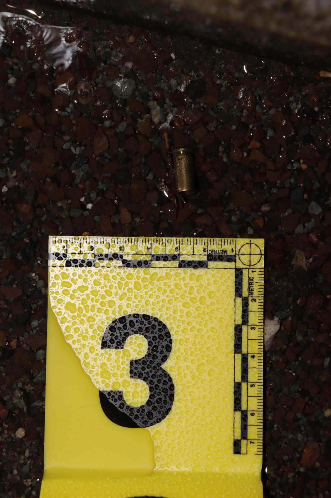 Střelba v České Skalici