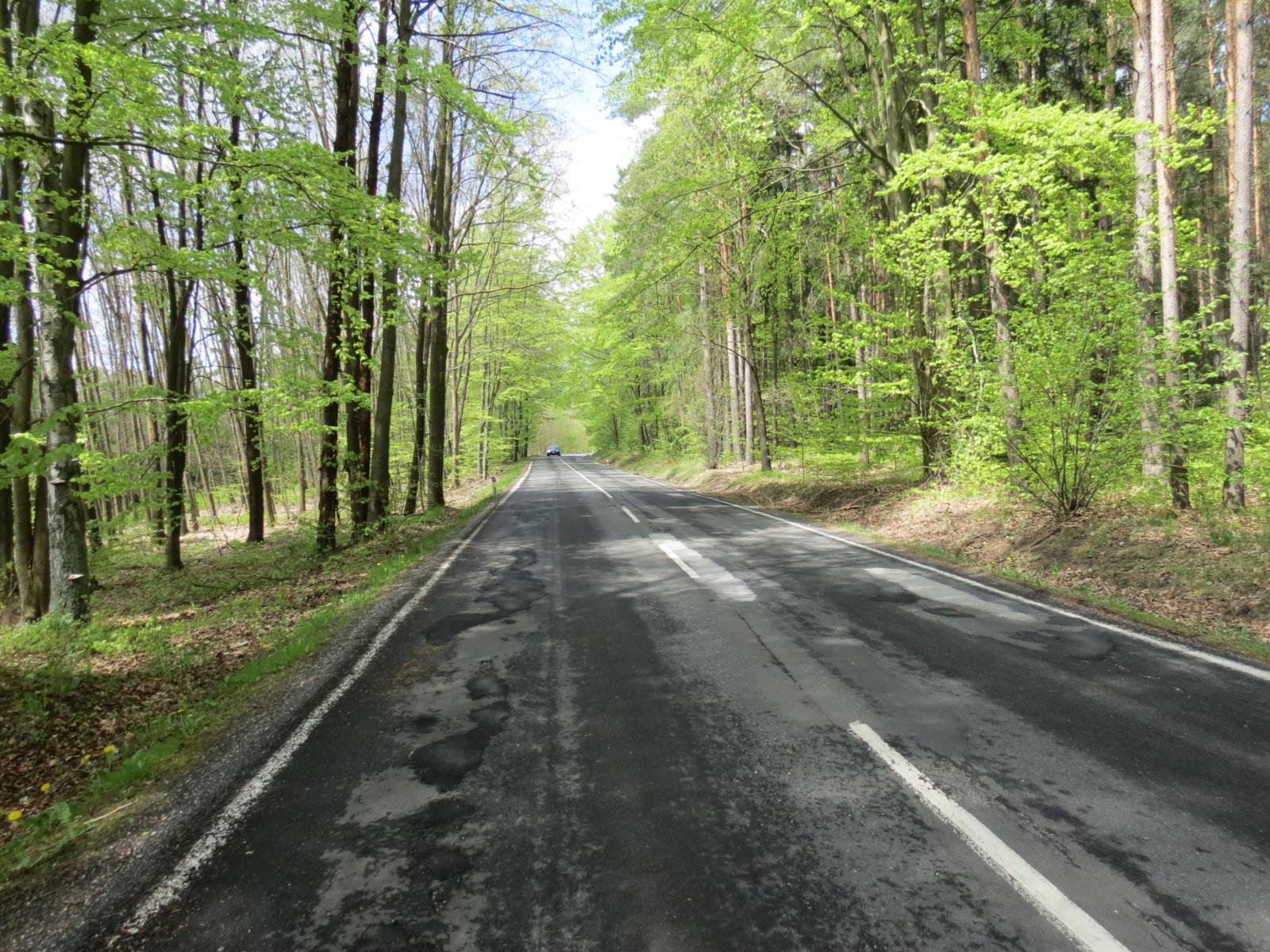Střet se zvěří
