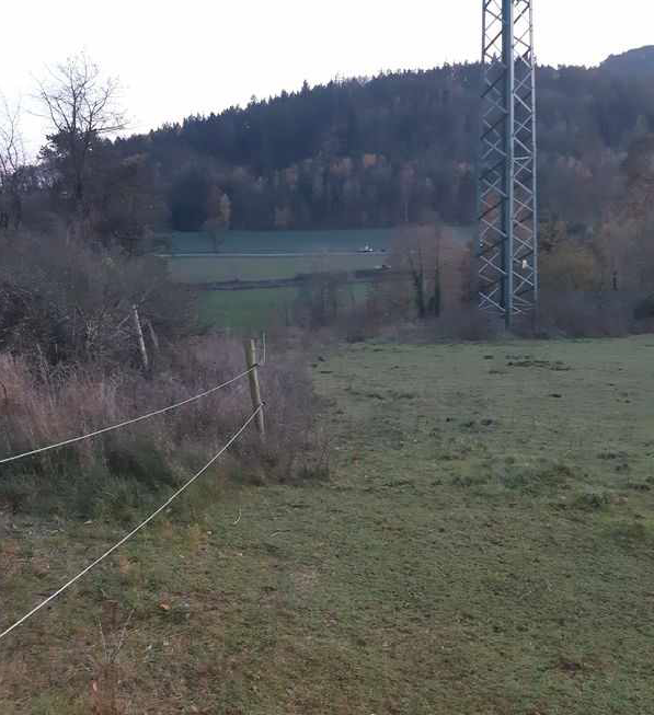 Střet vlaku s koňmi