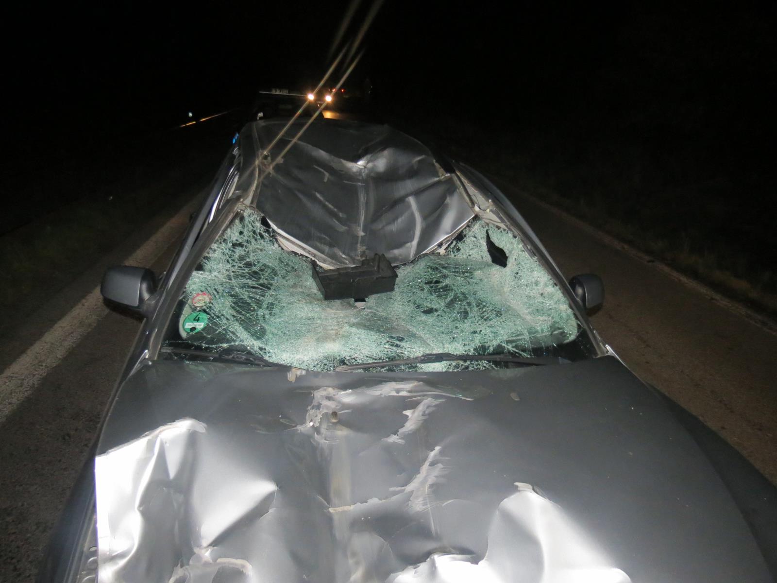 Střet vozidla s koněm na Velvarsku