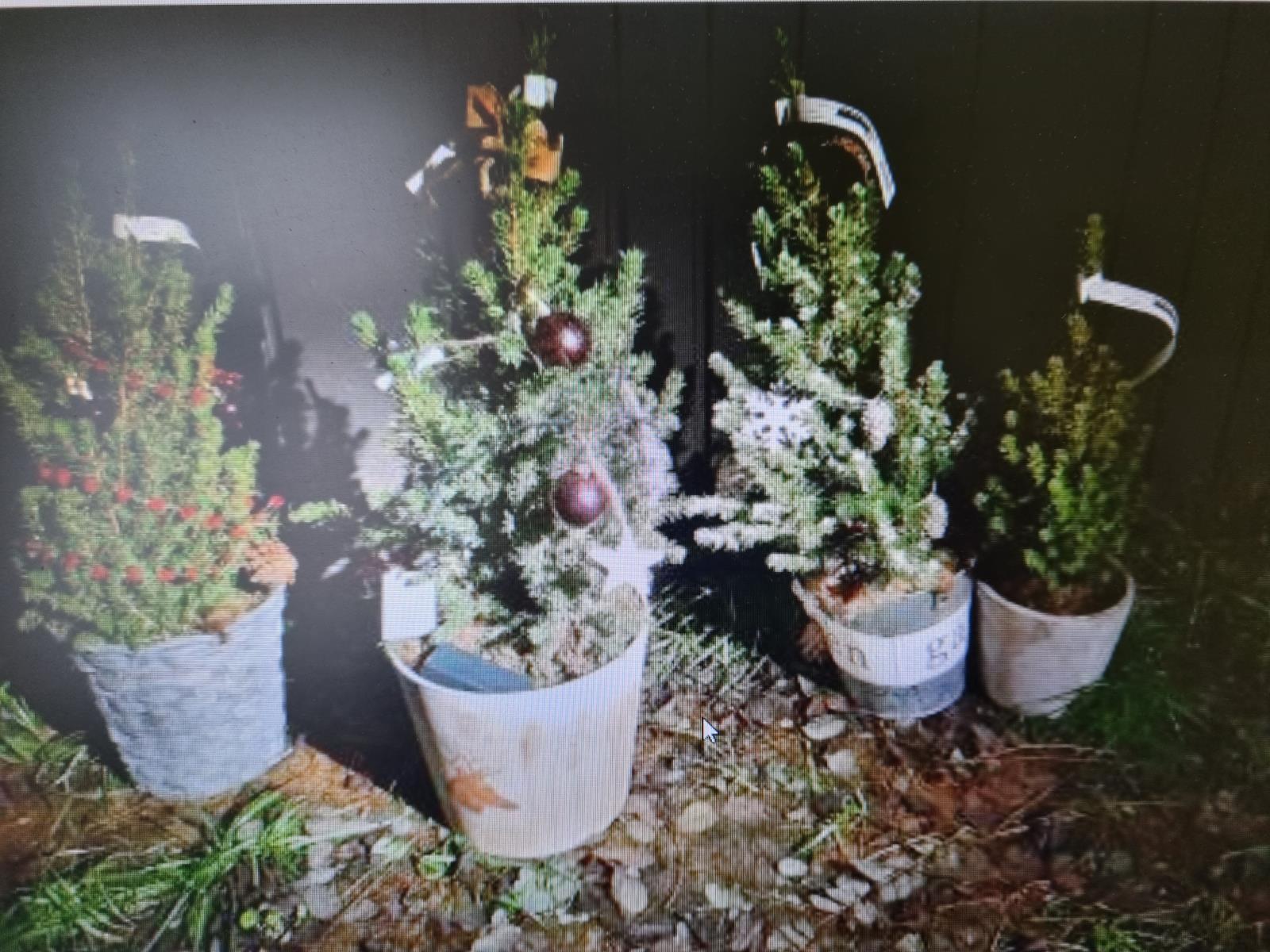 Stromky OBI (1)