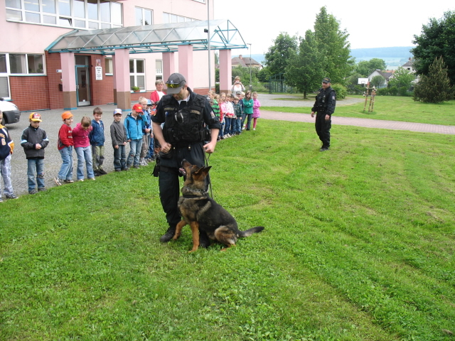 Strž2.