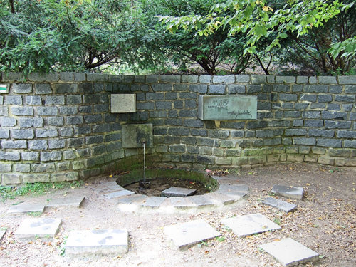 Studánka_LJ (1).jpg