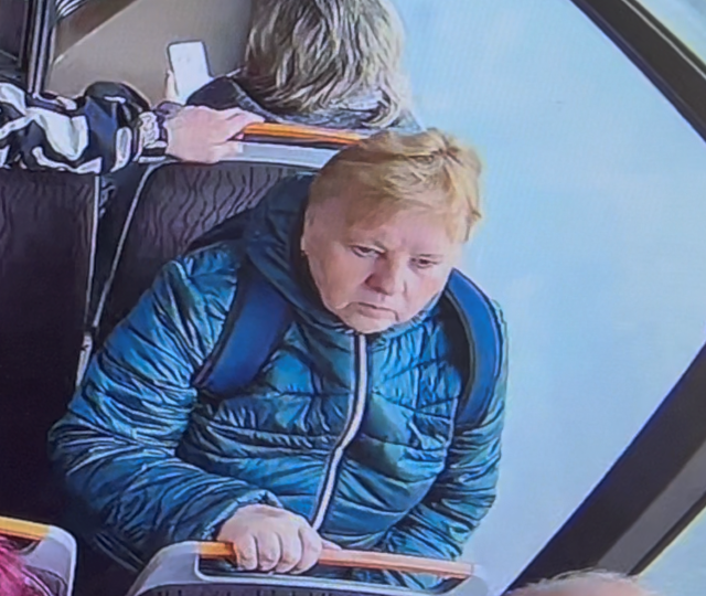 Svědkyně z autobusu č. 13-1.png